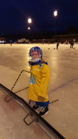 Skridskokul 2016